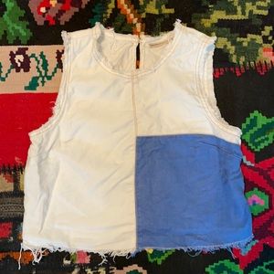 Anthropologie holding horses denim crop top